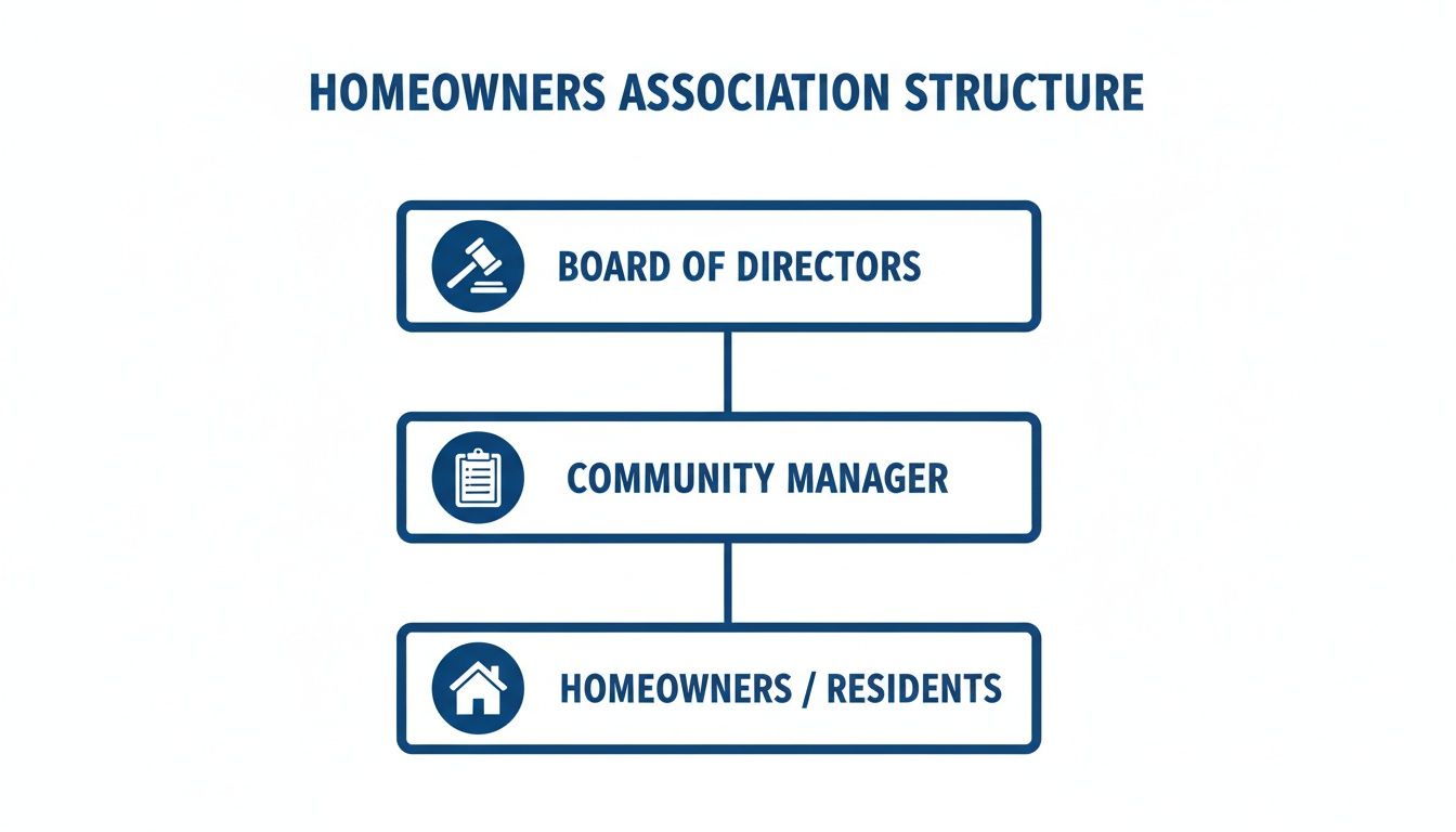 A diagram illustrating the Homeowners Association structure: Board of Directors, Community Manager, and Homeowners/Residents.